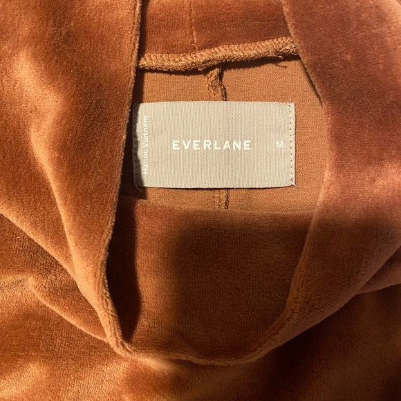 Everlane The Velour Mini Dress Brown Base - Size M - Picture 6 of 7